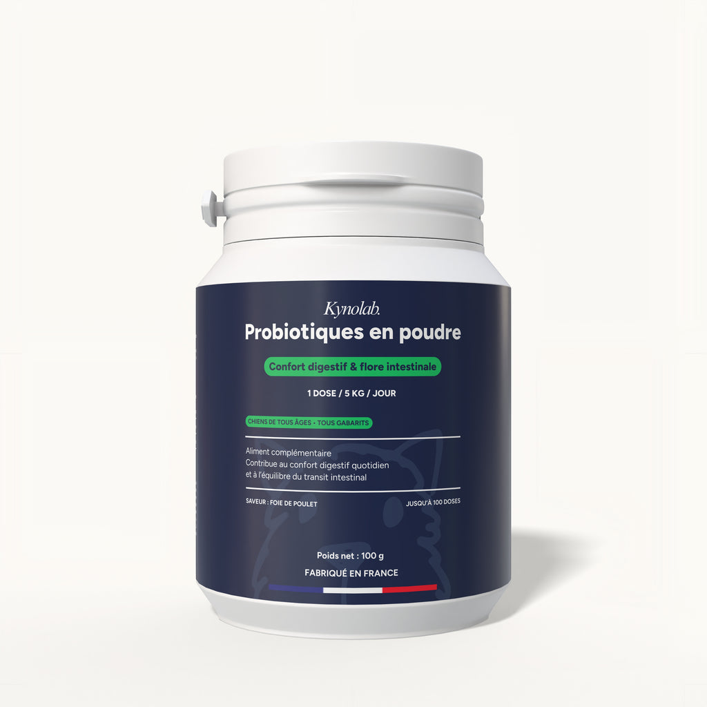 Complexe FloraRepair+ - Probiotiques & prébiotiques en poudre