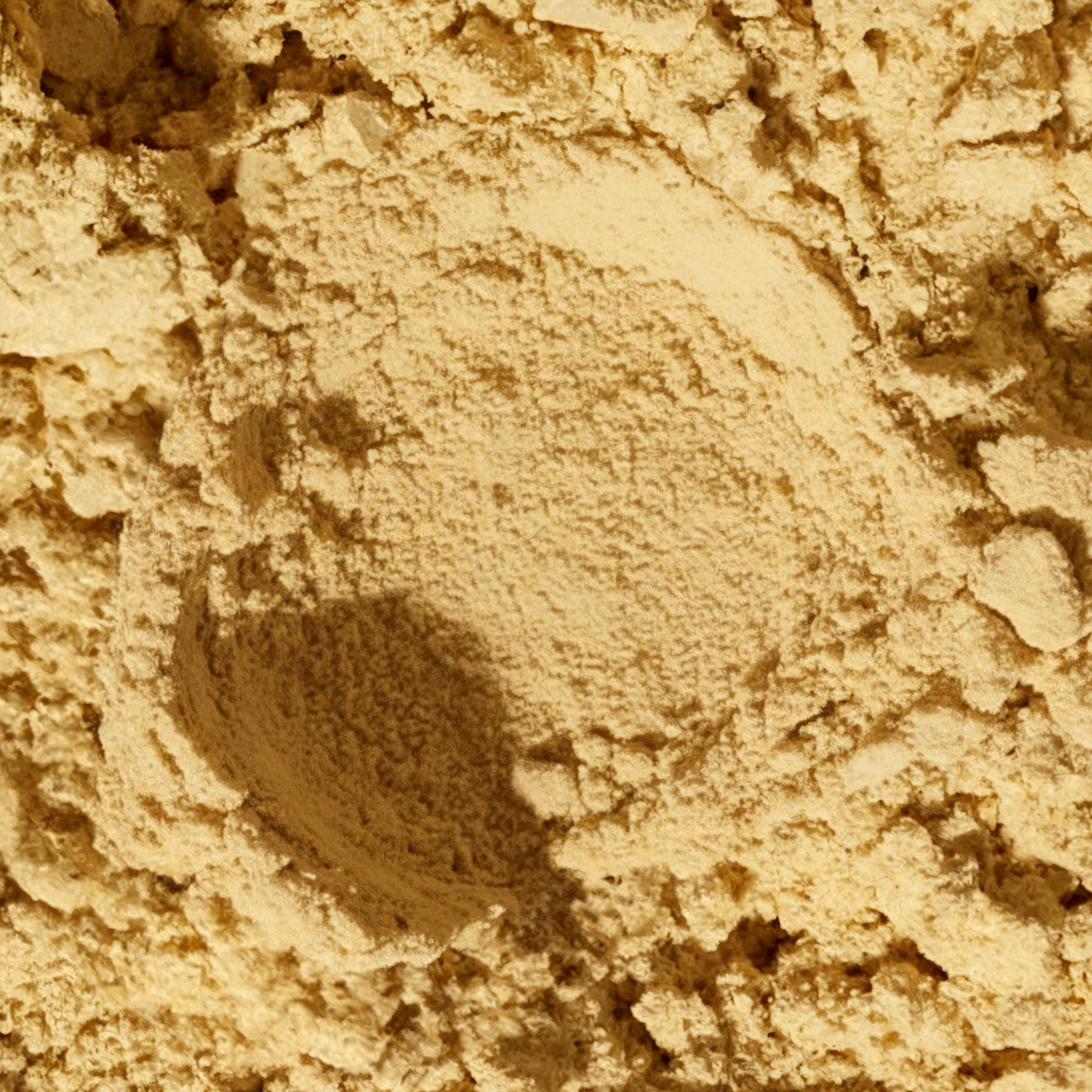 Complexe FloraRepair+ - Probiotiques & prébiotiques en poudre